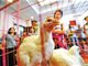 肯德基“速成鸡”煽风 A股闹“鸡慌”