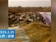 网传山西牧原公司大量病死猪视频热传