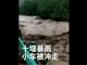 湖北十堰持续强降雨 多辆小车被水冲走