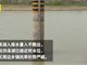 洪泽湖水量入不敷出降至死水位 农户螃蟹已脱壳