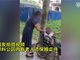 北京一保姆绳勒老人脖子绑树上 称有急事要先回家