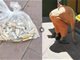 郑州捡1公斤烟头奖20元 环卫工:比之前还累