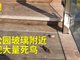 太原晋阳湖公园疑装玻璃护栏 小鸟难辨撞死