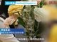 江苏盐城11岁女孩称遭继父两次性侵