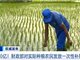 财政部对实际种粮农民发放一次性补贴200亿