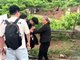 游客在成都龙泉山私摘枇杷被索赔每个100元